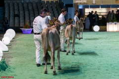 DSC00935-2 DSC00935-2