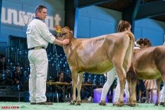 DSC00961-2 DSC00961-2