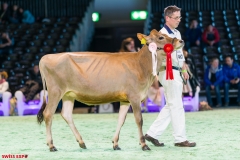 DSC00969-2 DSC00969-2