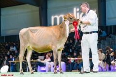 DSC00977-2 DSC00977-2