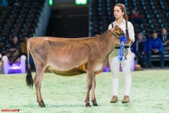 DSC00984-2 DSC00984-2