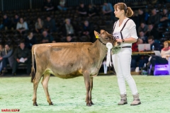 DSC00986-2 DSC00986-2