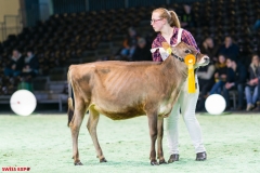 DSC00987-2 DSC00987-2