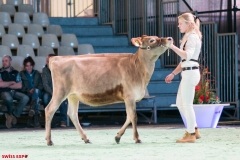 DSC00999-2 DSC00999-2