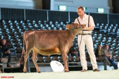 DSC01000-2 DSC01000-2