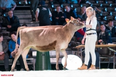 DSC01002-2 DSC01002-2