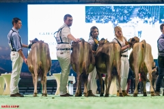 DSC01010-2 DSC01010-2