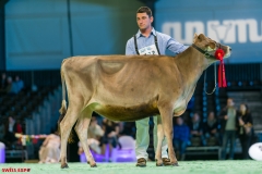 DSC01023-2 DSC01023-2