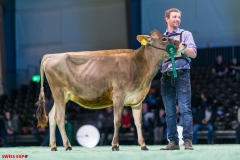 DSC01028-2 DSC01028-2