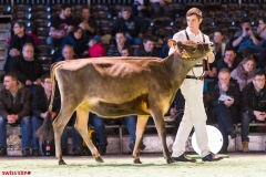 DSC01048-2 DSC01048-2