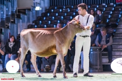 DSC01052-2 DSC01052-2