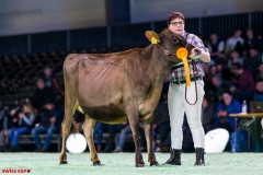 DSC01102-2 DSC01102-2