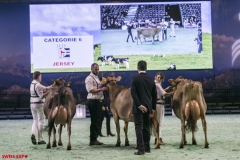 DSC01119-2 DSC01119-2