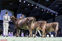 DSC01124-2 DSC01124-2