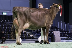 DSC01127-2 DSC01127-2