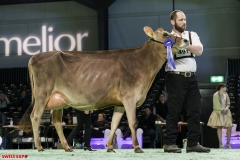 DSC01135-2 DSC01135-2