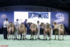 DSC01146-2 DSC01146-2