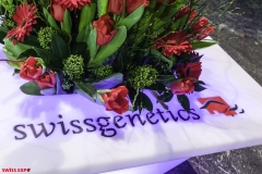 DSC01148-2 DSC01148-2