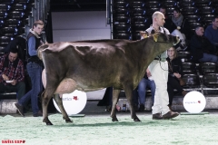 DSC01170-2 DSC01170-2