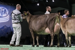 DSC01181-2 DSC01181-2