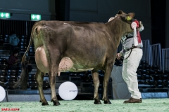 DSC01198-2 DSC01198-2