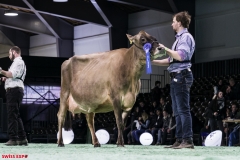 DSC01208-2 DSC01208-2