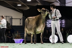 DSC01213-2 DSC01213-2