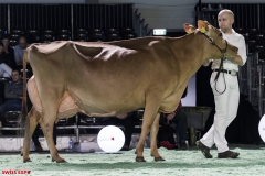 DSC01215-2 DSC01215-2