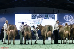 DSC01228-2 DSC01228-2