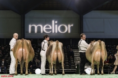 DSC01238-2 DSC01238-2