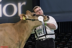 DSC01247-2 DSC01247-2