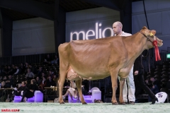 DSC01255-2 DSC01255-2