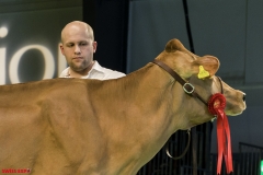 DSC01256-2 DSC01256-2