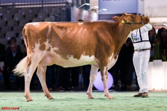 DSC09123-2 DSC09123-2