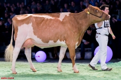 DSC09128-2 DSC09128-2