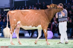 DSC09130-2 DSC09130-2