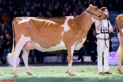 DSC09131-2 DSC09131-2