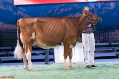 DSC09133-2 DSC09133-2