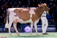 DSC09022-2 DSC09022-2