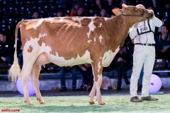 DSC09024-2 DSC09024-2