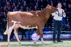 DSC09028-2 DSC09028-2