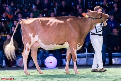 DSC09034-2 DSC09034-2