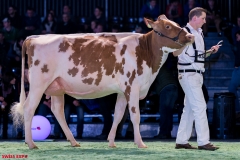 DSC09037-2 DSC09037-2