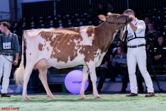 DSC09043-2 DSC09043-2