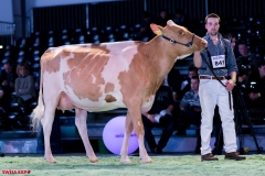 DSC09044-2 DSC09044-2