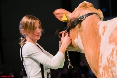 DSC09075-2 DSC09075-2