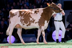 DSC09077-2 DSC09077-2