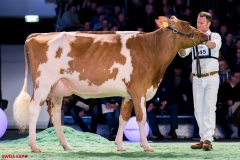 DSC09089-2 DSC09089-2