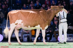 DSC09096-2 DSC09096-2