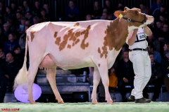 DSC09100-2 DSC09100-2